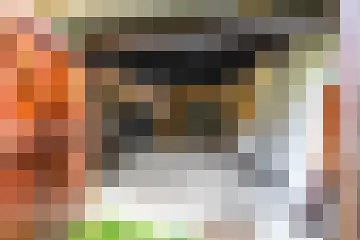 de Plasse 4 Terband thumbnail 39