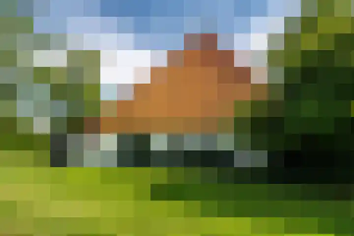 de Plasse 4 Terband thumbnail 4