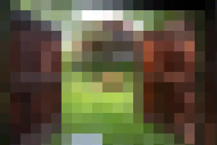 de Plasse 4 Terband thumbnail 41