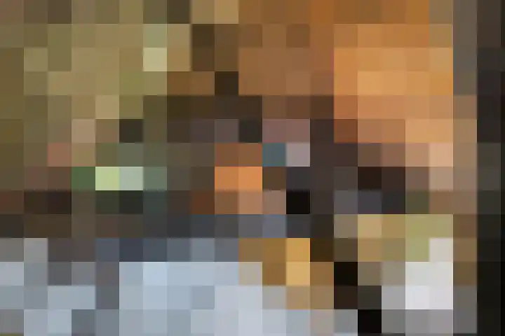 de Plasse 4 Terband thumbnail 48