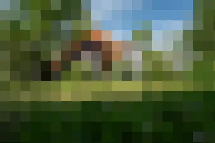 de Plasse 4 Terband thumbnail 52