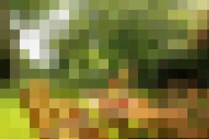 de Plasse 4 Terband thumbnail 55