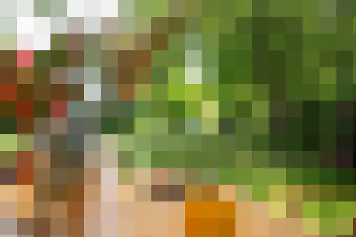 de Plasse 4 Terband thumbnail 56