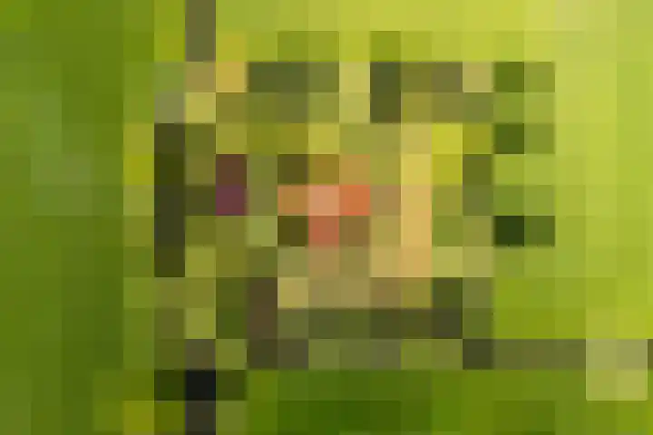 de Plasse 4 Terband thumbnail 58
