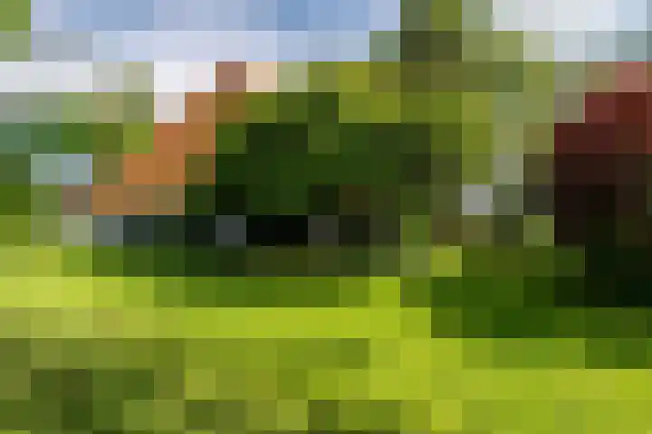 de Plasse 4 Terband thumbnail 6