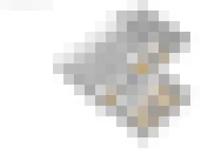 de Plasse 4 Terband thumbnail 63
