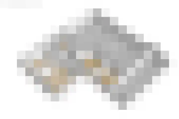 de Plasse 4 Terband thumbnail 64