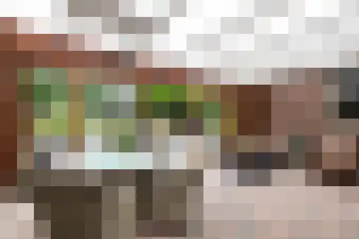 de Plataan 90 Didam thumbnail 11