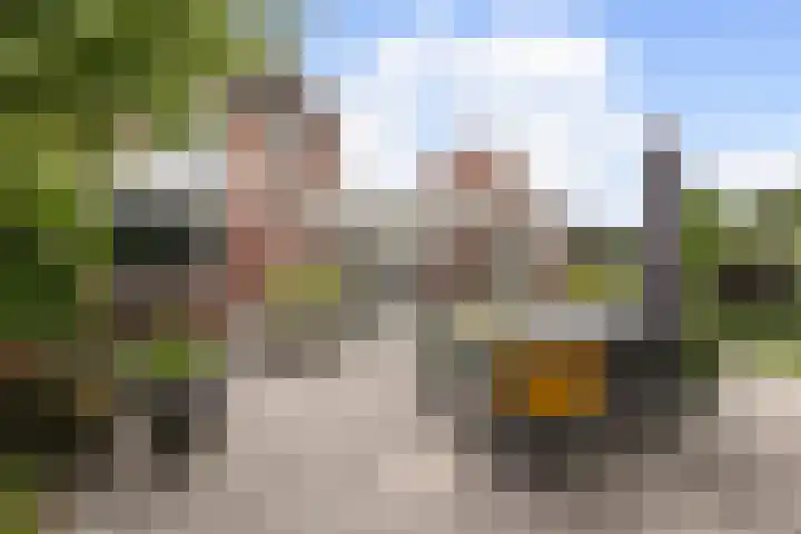 de Plataan 90 Didam thumbnail 12
