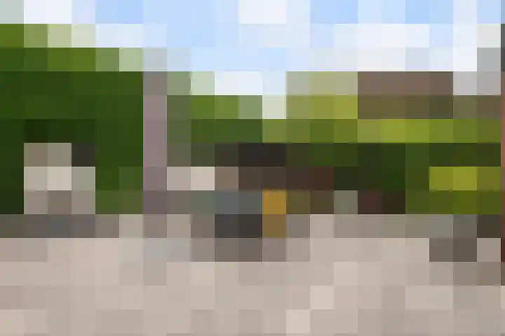 de Plataan 90 Didam thumbnail 15