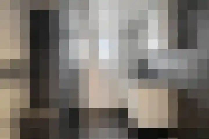 de Plataan 90 Didam thumbnail 26