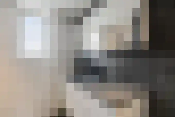 de Plataan 90 Didam thumbnail 27