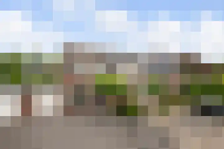 de Plataan 90 Didam thumbnail 32