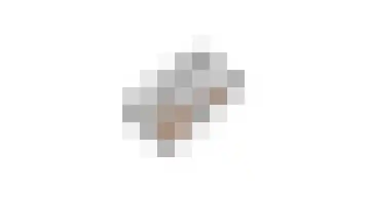 de Plataan 90 Didam thumbnail 38