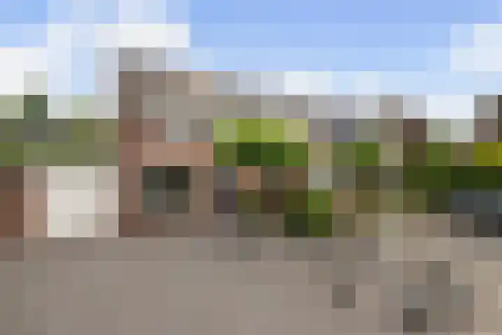 de Plataan 90 Didam thumbnail 42