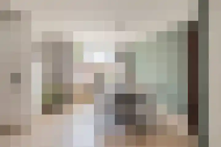 de Plataan 90 Didam thumbnail 6