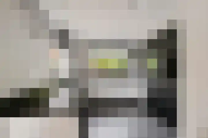 de Plataan 90 Didam thumbnail 9
