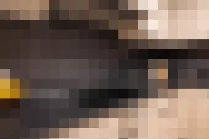 De Plevier 114 Almelo thumbnail 12
