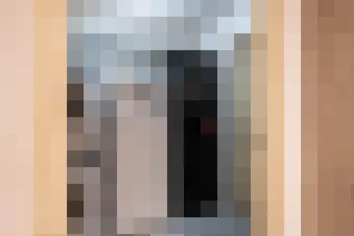 De Plevier 114 Almelo thumbnail 13