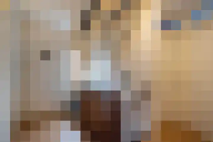 De Plevier 114 Almelo thumbnail 15