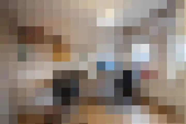 De Plevier 114 Almelo thumbnail 17