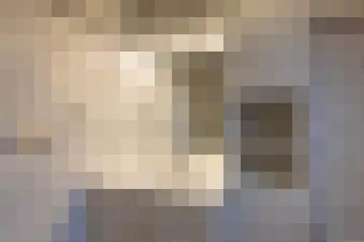 De Plevier 114 Almelo thumbnail 21