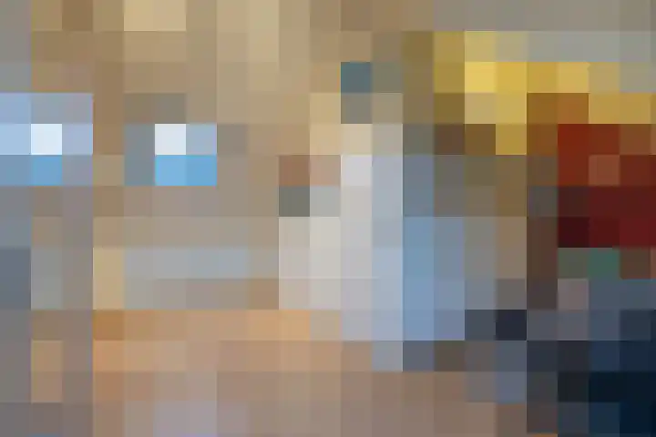 De Plevier 114 Almelo thumbnail 22