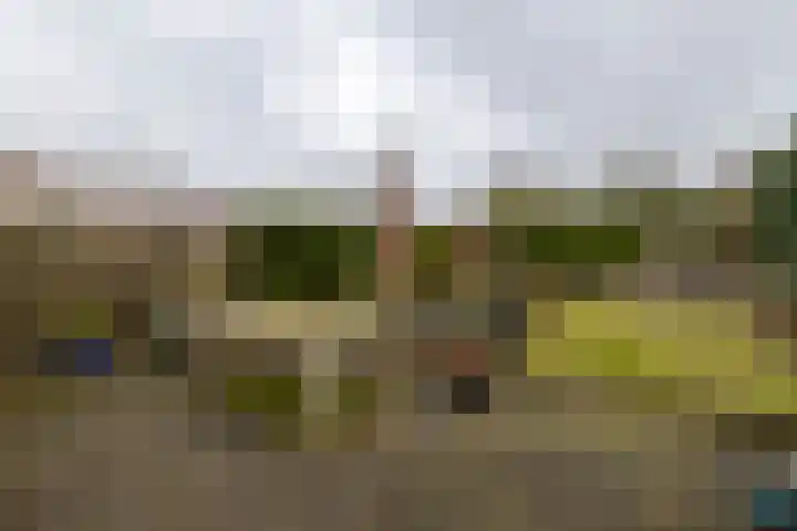 De Plevier 114 Almelo thumbnail 24