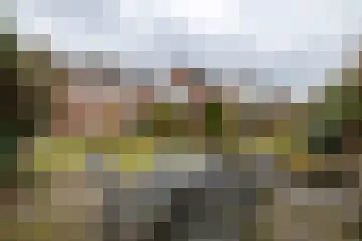 De Plevier 114 Almelo thumbnail 25