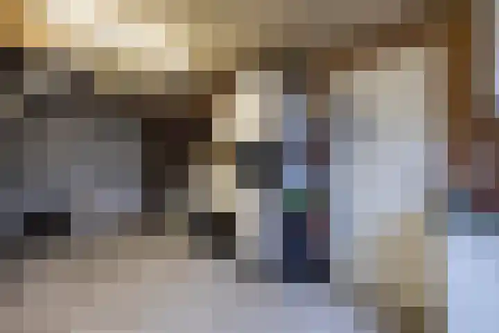 De Plevier 114 Almelo thumbnail 27