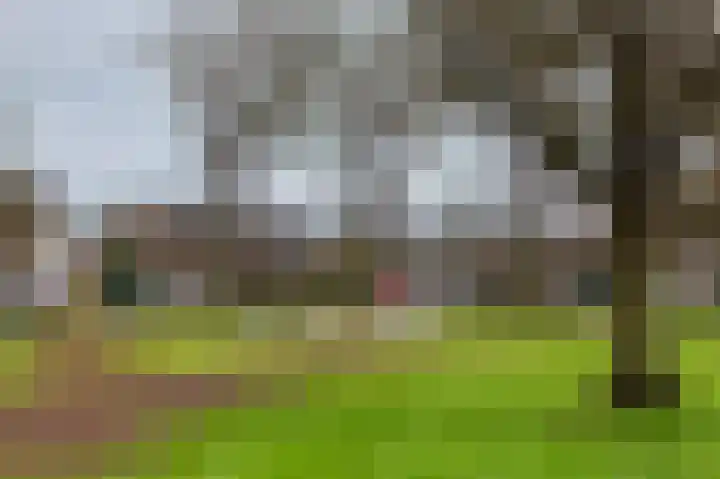 De Plevier 114 Almelo thumbnail 30