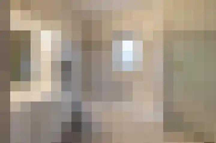 De Plevier 114 Almelo thumbnail 4