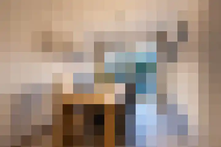De Plevier 114 Almelo thumbnail 8