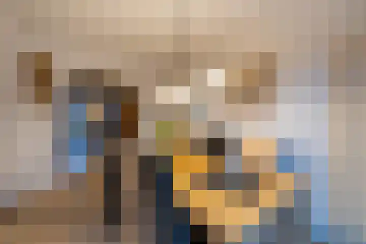 De Plevier 114 Almelo thumbnail 9
