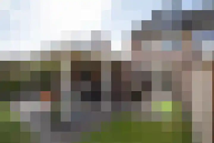 De Plevier 59 Almelo foto 3