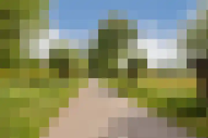 De Plevier 59 Almelo thumbnail 31