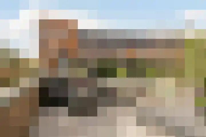 De Plevier 59 Almelo thumbnail 36