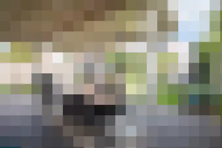 De Plevier 59 Almelo thumbnail 43
