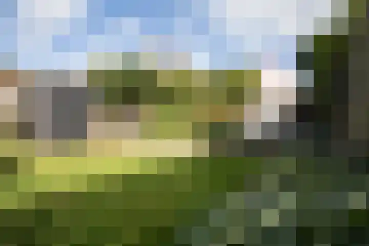 De Plevier 59 Almelo thumbnail 45