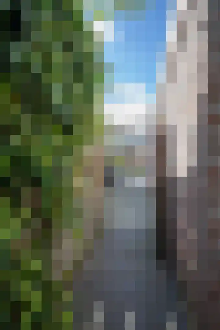 De Plevier 59 Almelo thumbnail 50