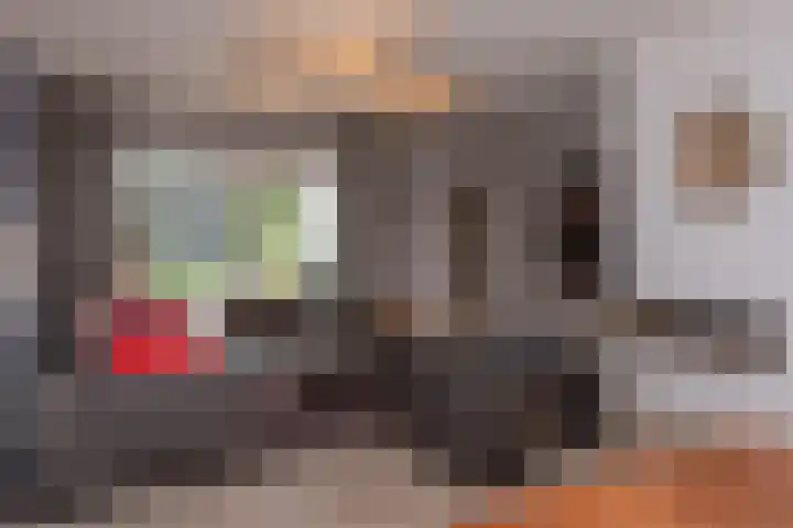 de Ploeg 12 Wezep thumbnail 10