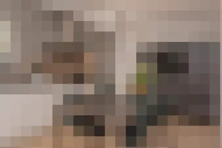 de Ploeg 12 Wezep thumbnail 15