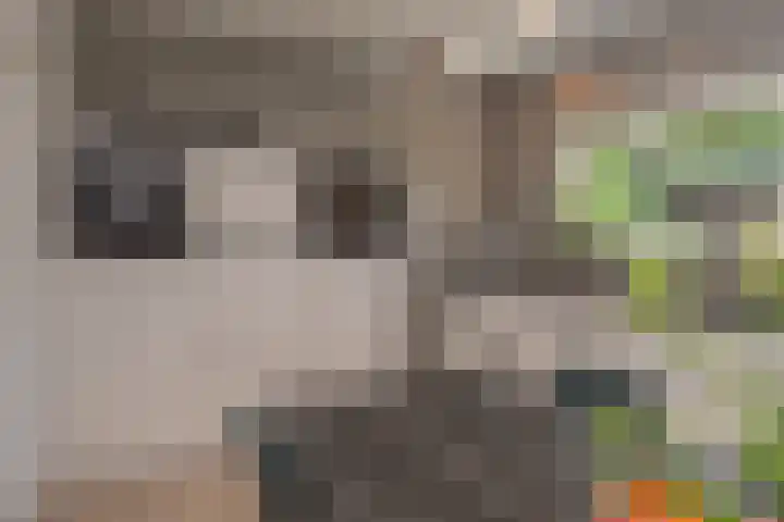 de Ploeg 12 Wezep thumbnail 16