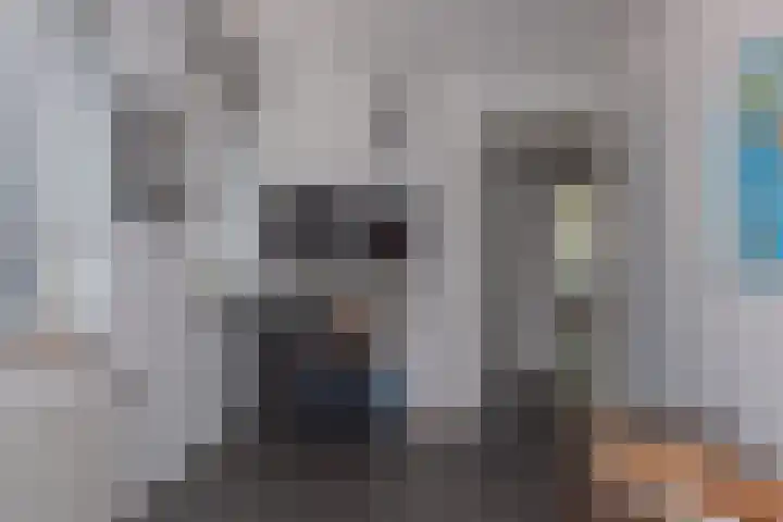 de Ploeg 12 Wezep thumbnail 27