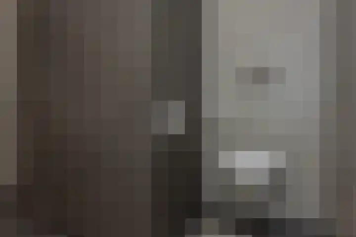 de Ploeg 12 Wezep thumbnail 33