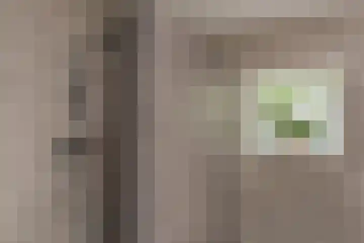 de Ploeg 12 Wezep thumbnail 35
