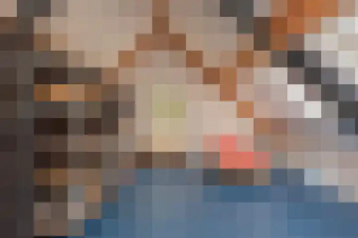 de Ploeg 12 Wezep thumbnail 40