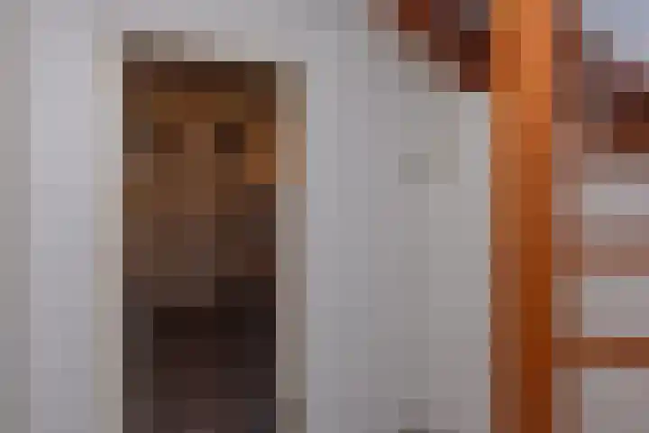de Ploeg 12 Wezep thumbnail 45