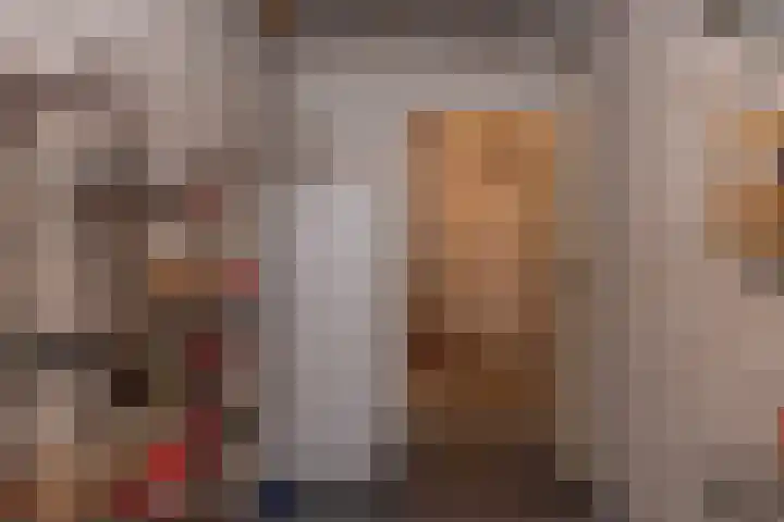 de Ploeg 12 Wezep thumbnail 47