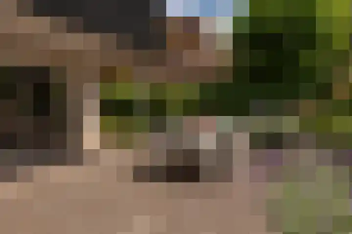 de Ploeg 12 Wezep thumbnail 52